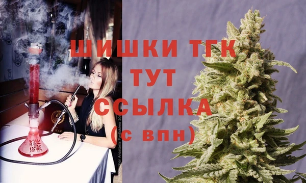 индика Баксан