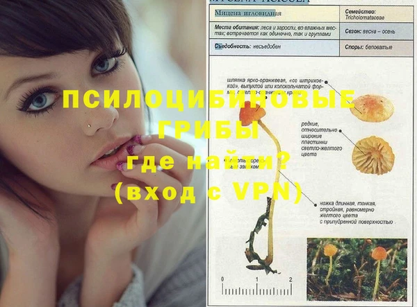 МДПВ Балахна