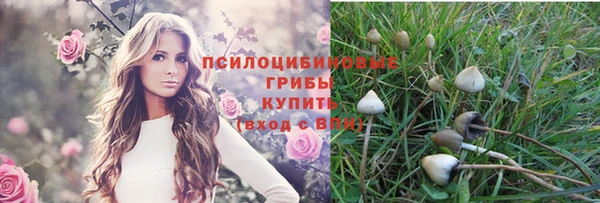 индика Баксан