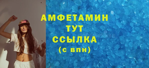 индика Баксан