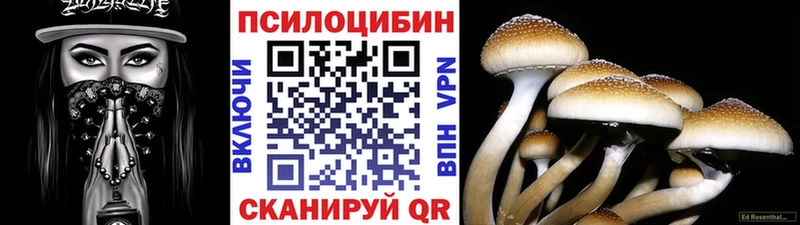 Купить  Губкин  Галлюциногенные грибы MAGIC MUSHROOMS 